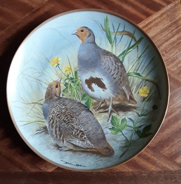 Lot De 9 Assiettes, Franklin Porcelaine, Collection Game Birds Of The World