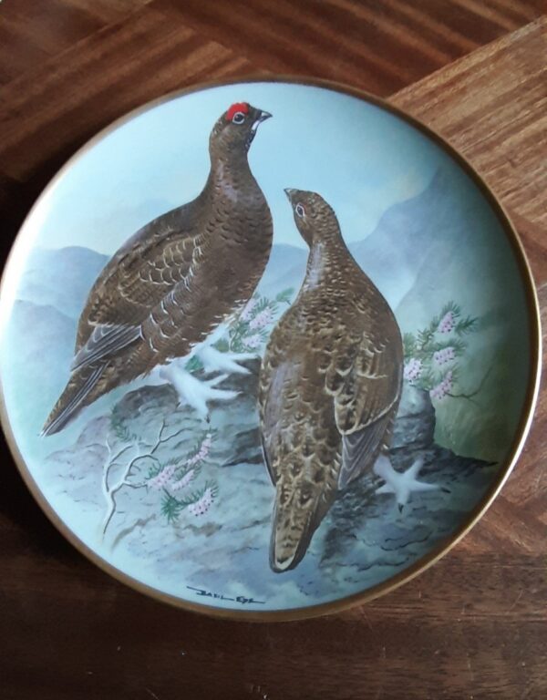 Lot De 9 Assiettes, Franklin Porcelaine, Collection Game Birds Of The World